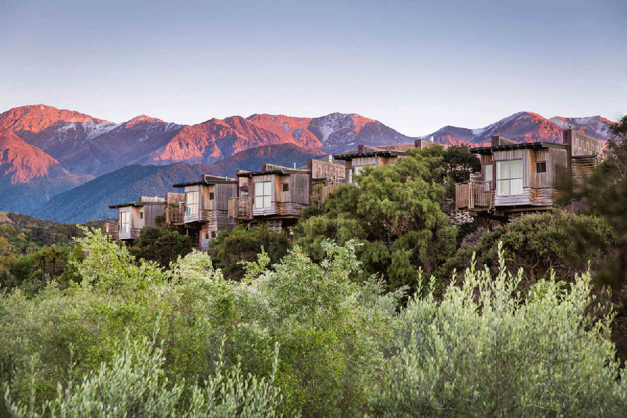 Hapuku Lodge and Treehouses Kaikoura tree houses luxury lodge and romantic escape in New Zealand