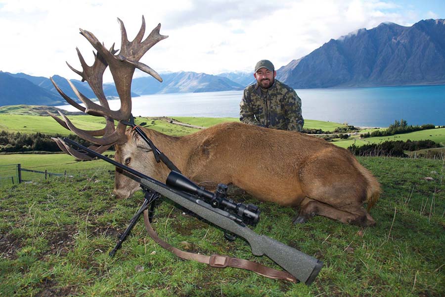 New Zealand hunting trips