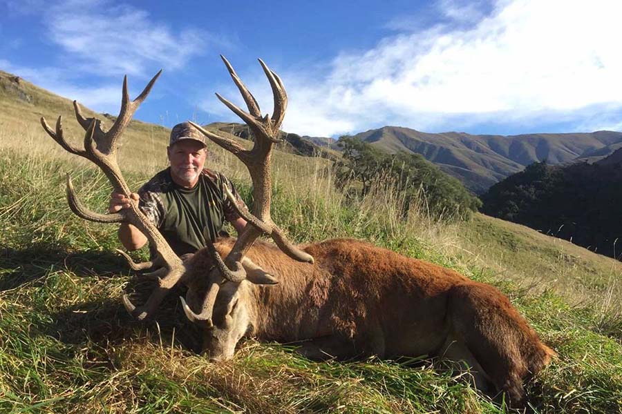 hunting red deer in New Zealand