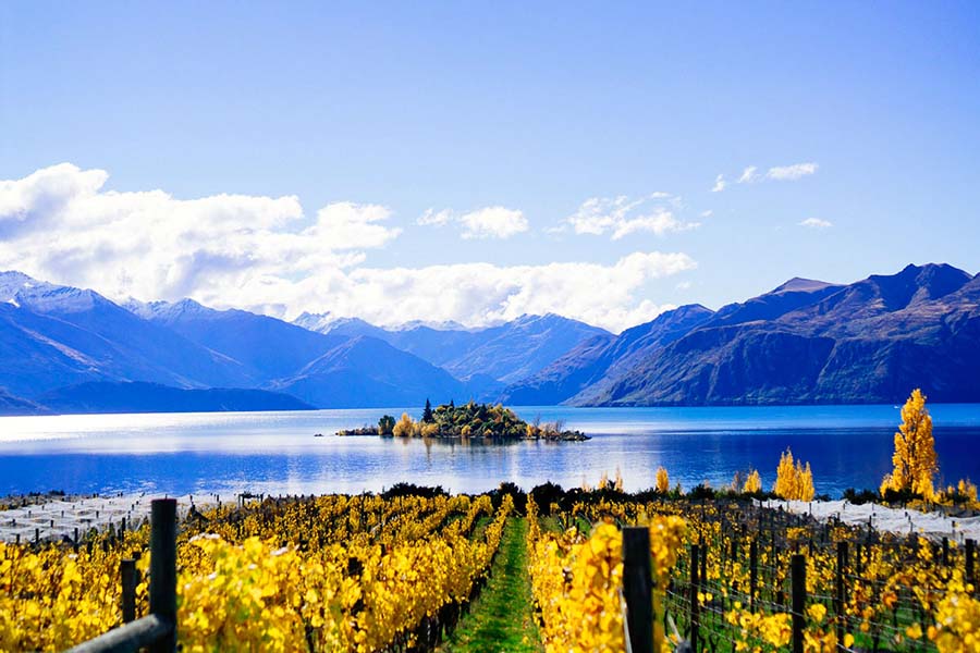 Rippon Winery Wanaka NZ luxury tours