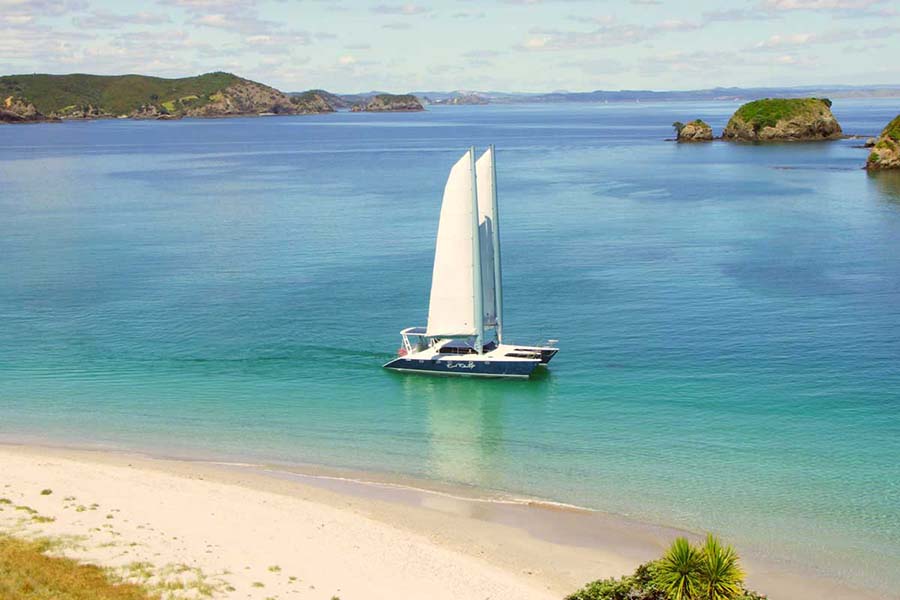Yacht Charter Bay of Islands